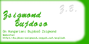 zsigmond bujdoso business card